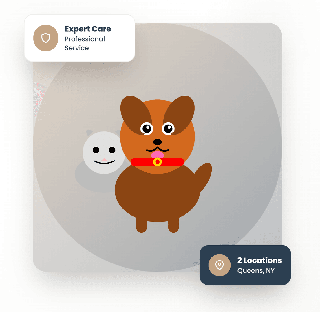 Cartoon dog and cat